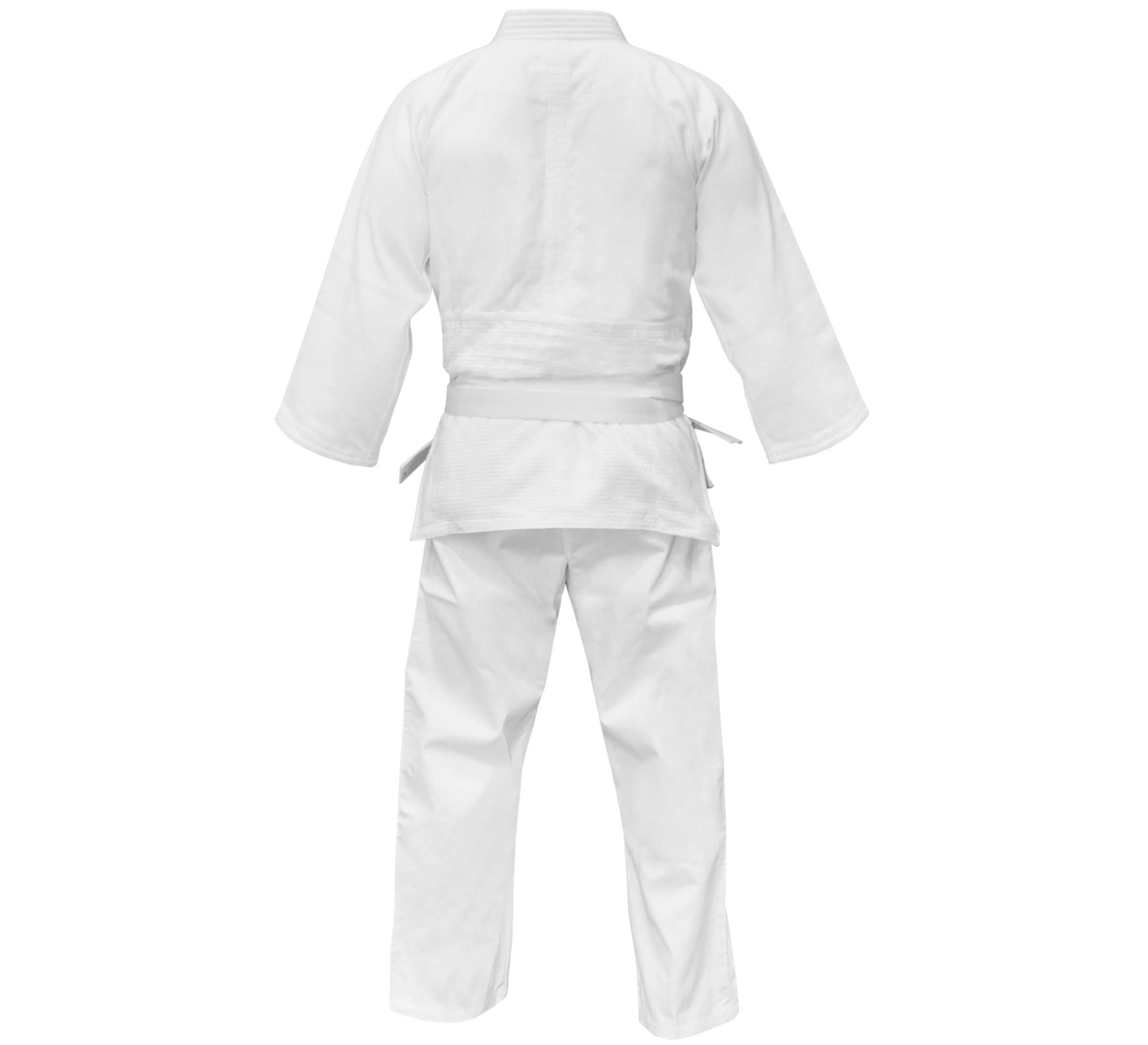 The Mizuno Hayato Judo Gi, a white martial arts uniform with jacket, pants, and belt, is displayed from the back on a plain white background.