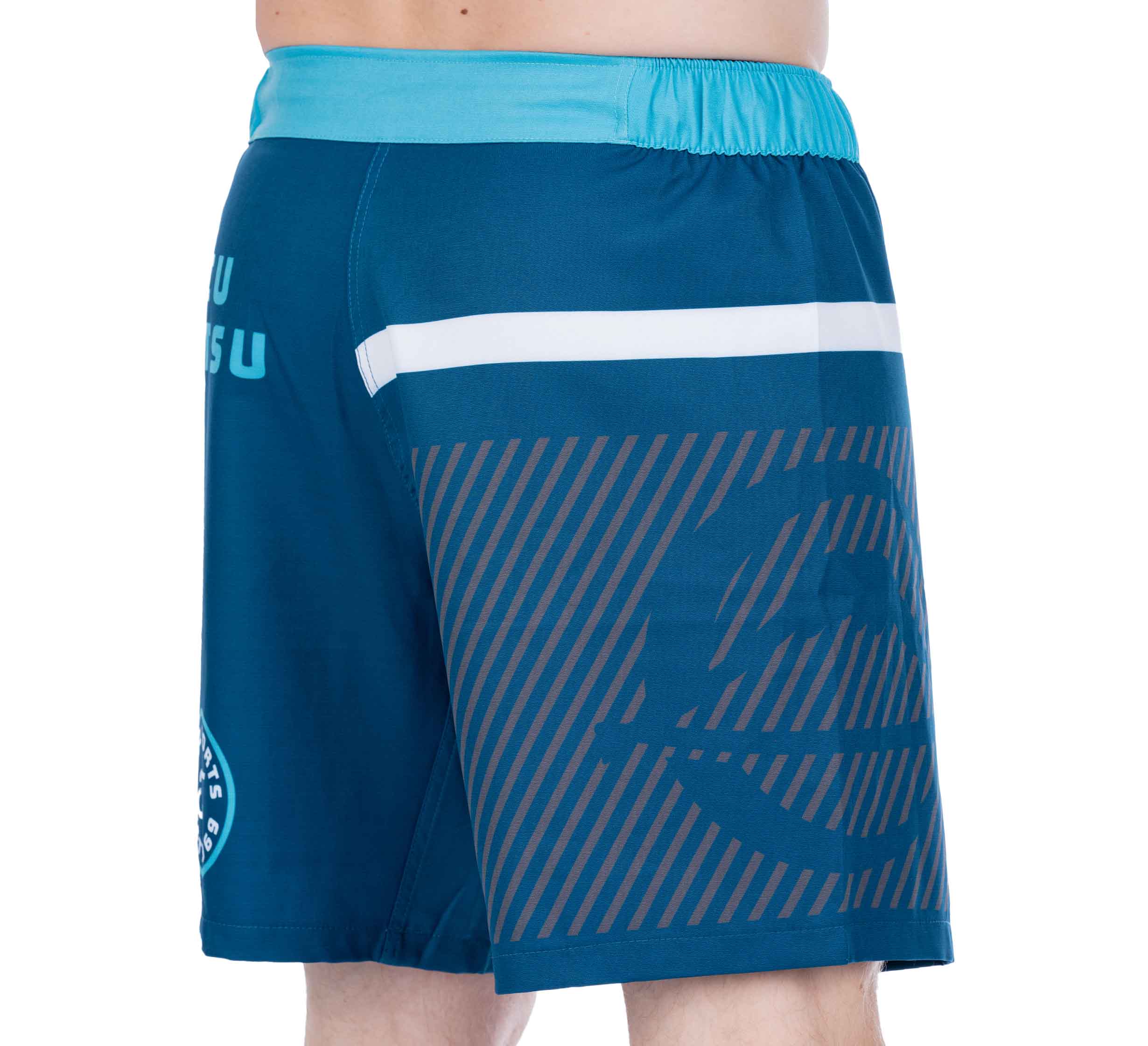 A person wearing Script Grappling Shorts Blue, featuring a white stripe and geometric side patterns. The waistband is light blue; only their lower torso and upper legs are visible.